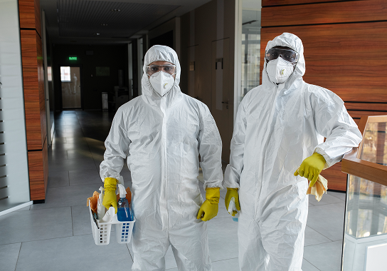 Professional pest control team preparing for a treatment in Qatar
